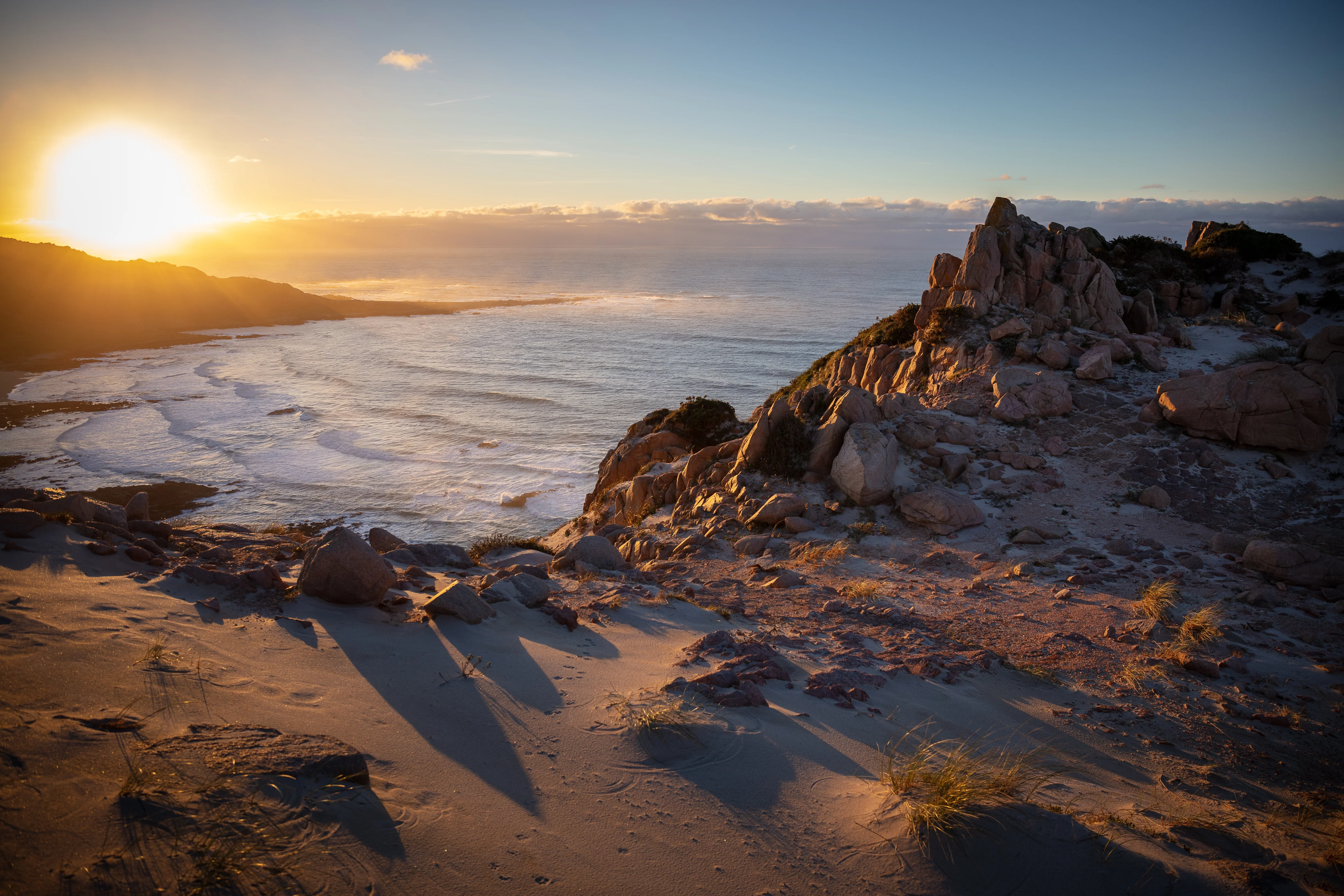 Warm sunrise landscape with native New Zealand plants illustrating a peaceful morning routine